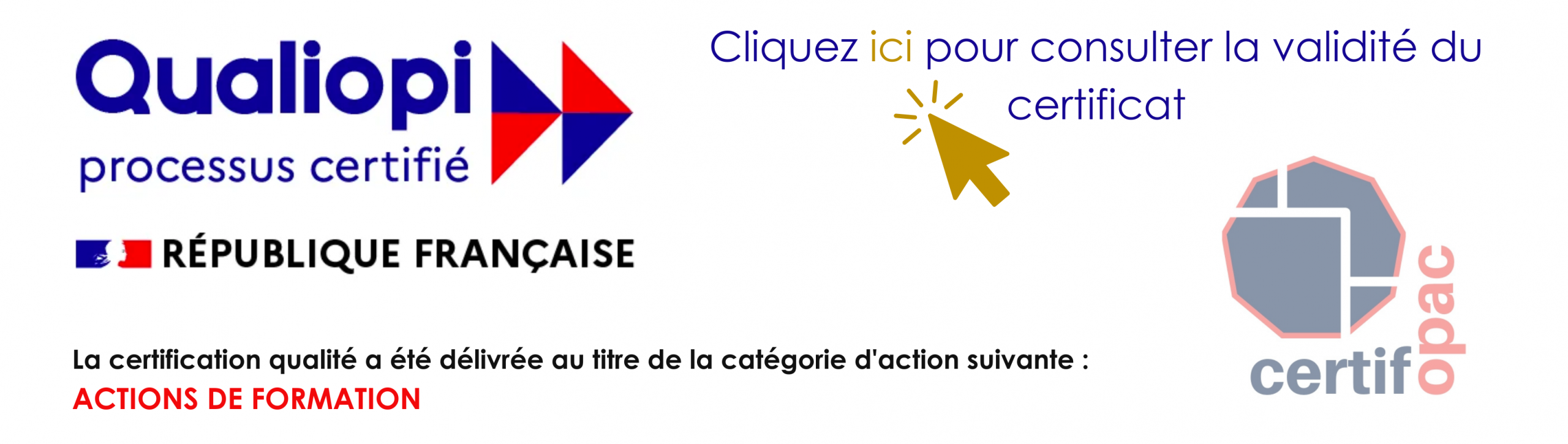 Formation au français (FLE)